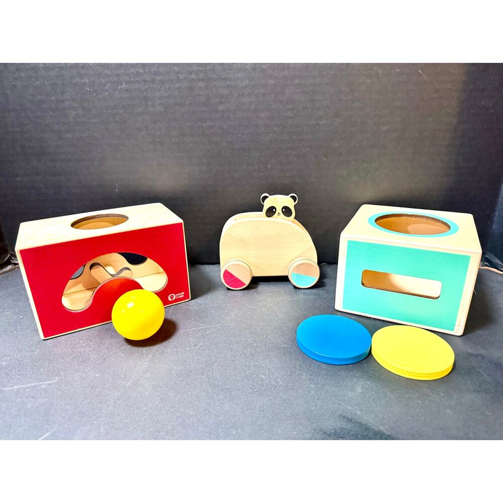 Kiwi Panda Crate push along car & ball drop